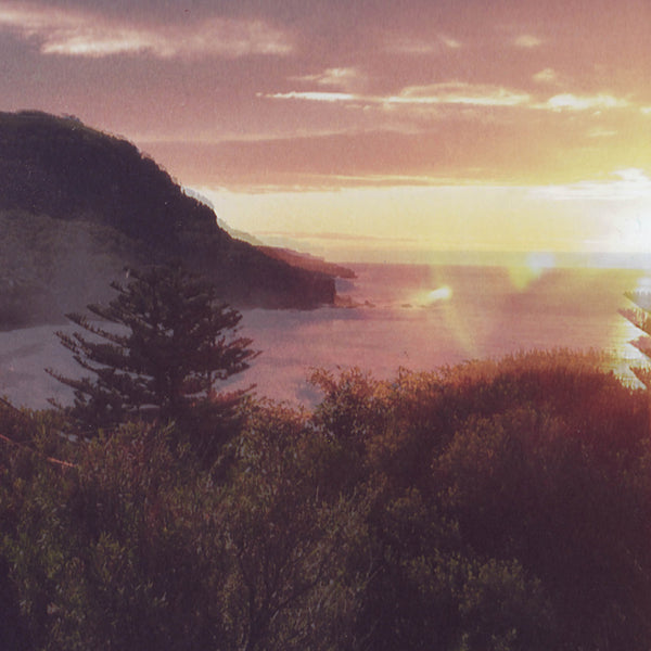 Ocean Party LP - Beauty Point | Buy Now For 32.99