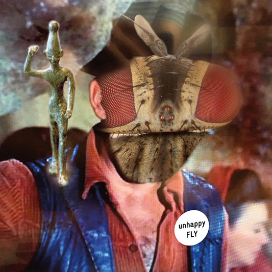 Unhappy Fly LP - Unhappy Fly | Buy Now For 29.99