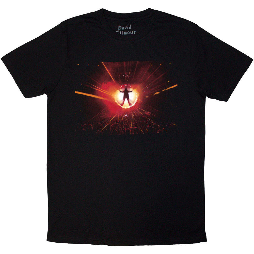 David Gilmour T Shirt - Luck & Strange Stage Shot
