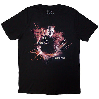 David Gilmour T Shirt - Luck & Strange Brighton