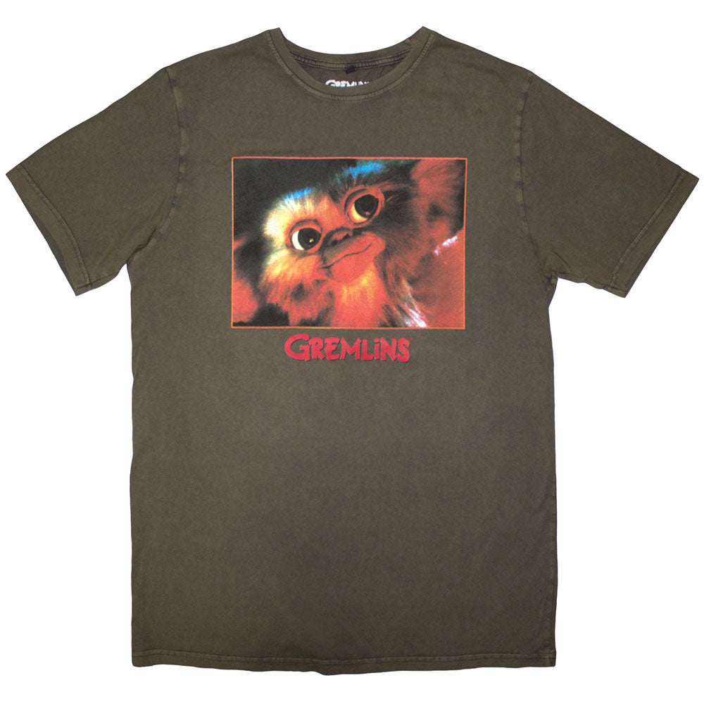 Warner Bros T Shirt - Gizmo Photo Stone Wash | Buy Now For 24.99
