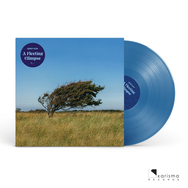 Bjorn Riis LP - A Fleeting Glimpse (Blue Vinyl) | Buy Now For 49.99