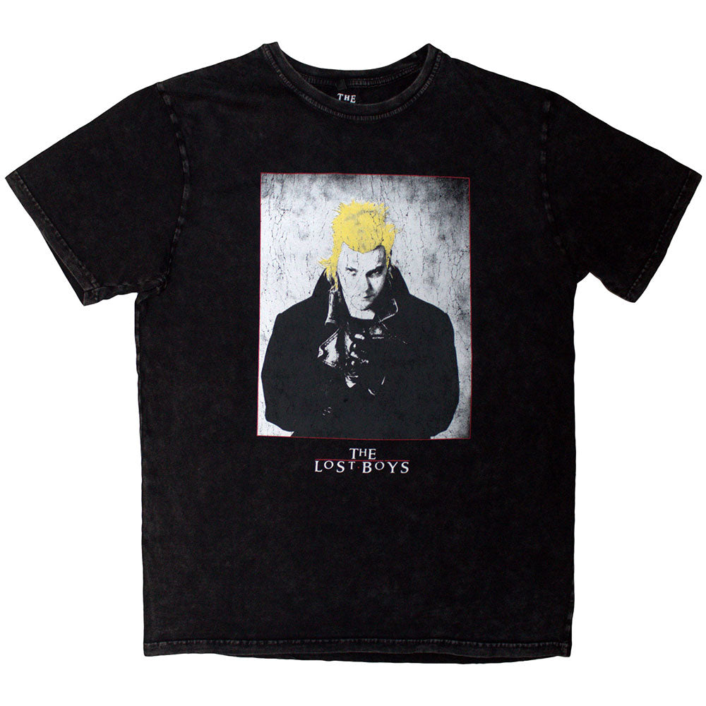 Warner Bros T Shirt - David Poster Stone Wash | Buy Now For 24.99