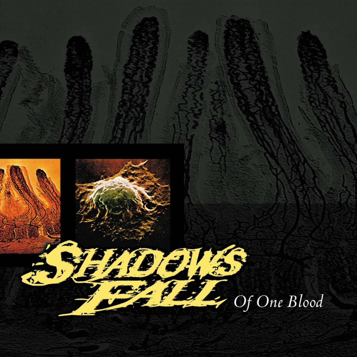 Shadows Fall LP - Of One Blood (Blood Red Vinyl) | Buy Now For 35.99