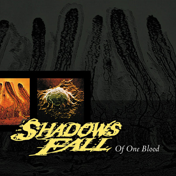 Shadows Fall LP - Of One Blood (Yellow With Black Marble Vinyl) | Buy Now For 38.99