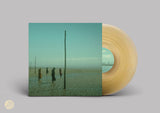 Devil's Witches LP - In All Her Forms (Gold/Clear Marbled Vinyl)
