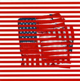Tortoise LP - Standards