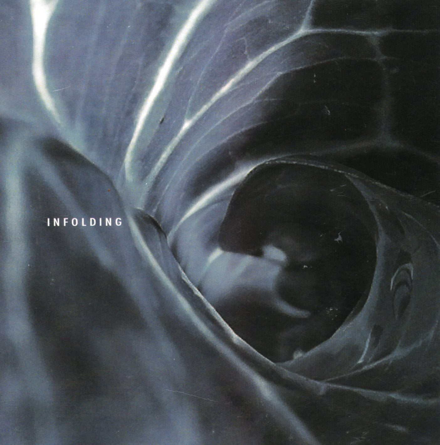 Spin Marvel LP - Infolding