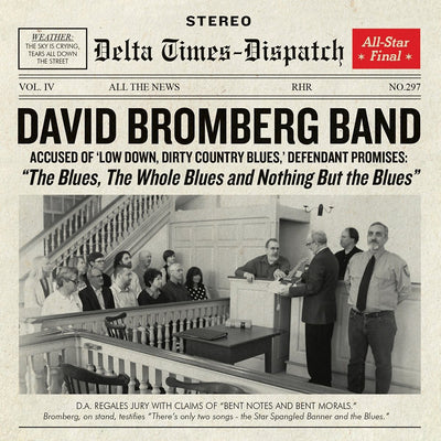David Bromberg LP - The Blues The Whole Blues And