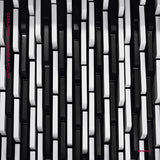 Anton Kubikov LP - Whatness