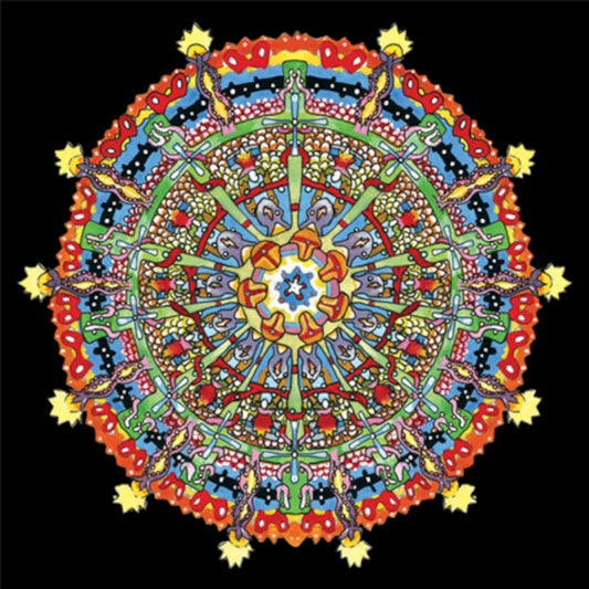 Of Montreal LP - Hissing Fauna. Are You The Destroyer? (Red/Yellow Vinyl)
