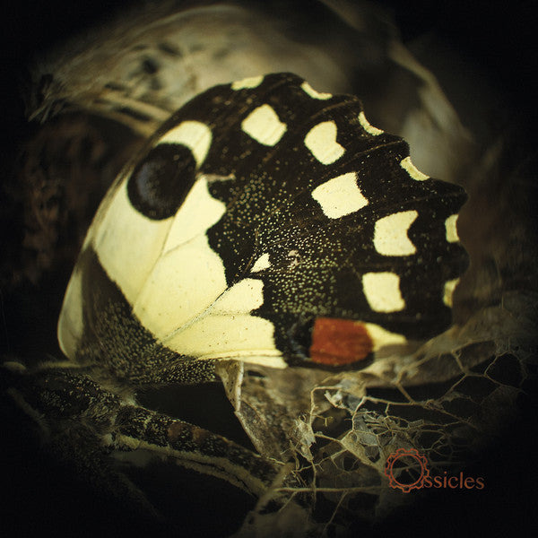 Ossicles LP - Music For Wastelands | Buy Now For 29.99