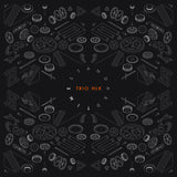 Trio Hlk LP - Standard Time