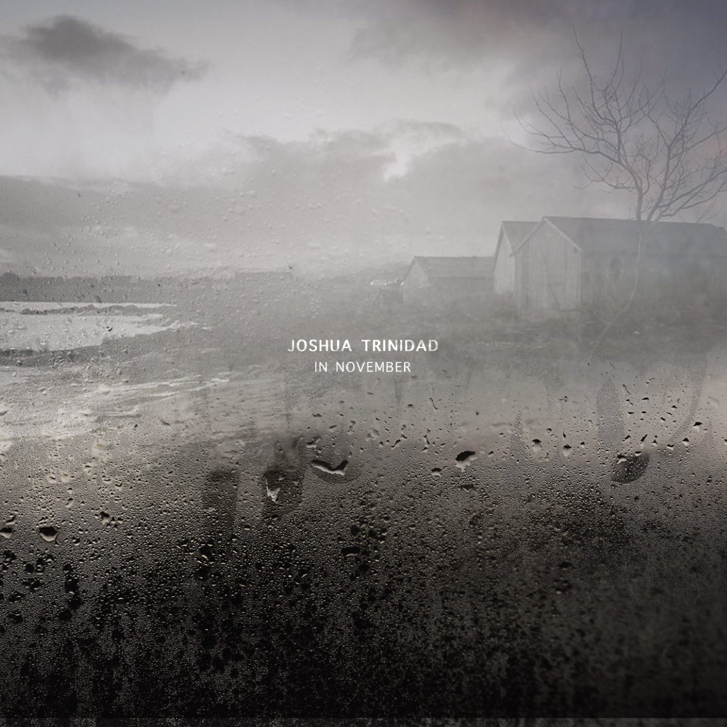 Joshua Trinidad LP - In November