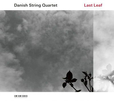 Danish String Quartet LP - Last Leaf