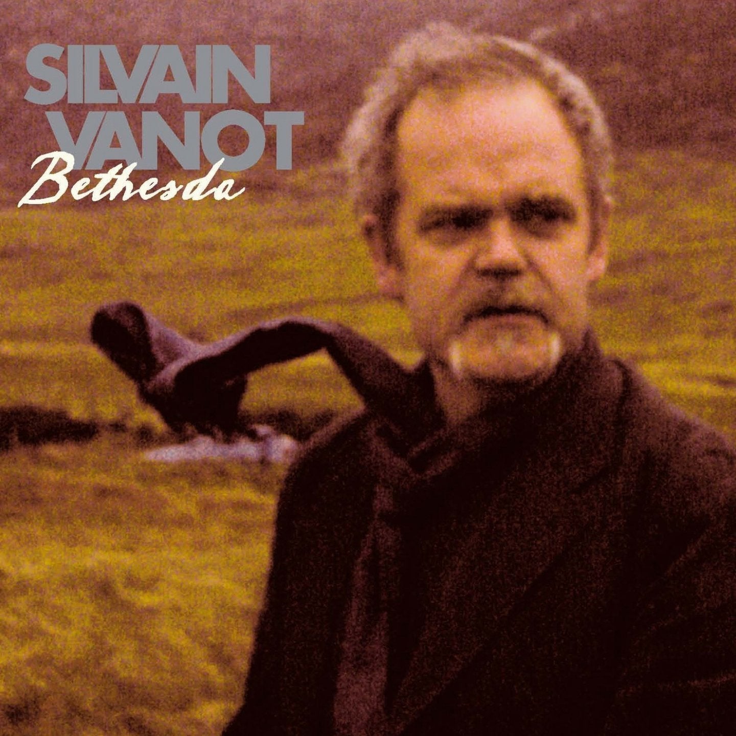 Silvain Vanot LP - Bethesda