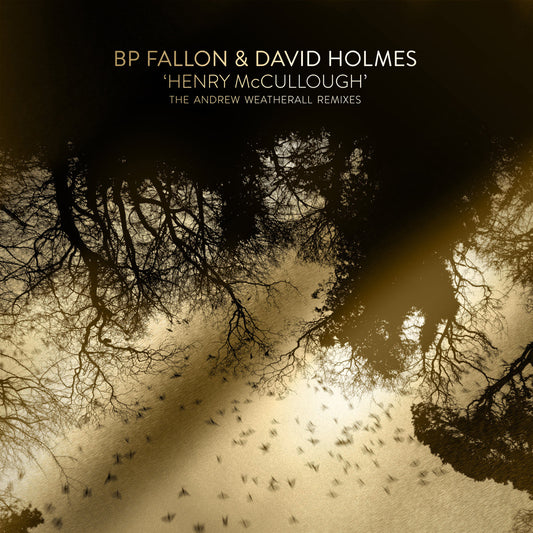 Bp Fallon & David Holmes LP - Henry Mccullough