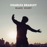 Charles Bradley LP - Black Velvet