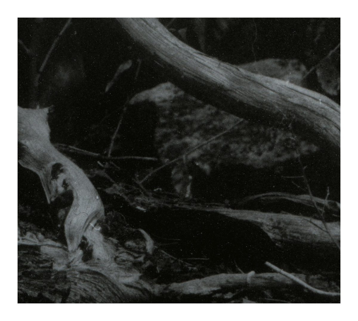 Barren Canyon LP - World Of Wounds | Buy Now For 34.99