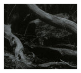 Barren Canyon LP - World Of Wounds | Buy Now For 34.99