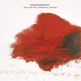 Eraldo Bernocchi LP - Like A Fire That Consumes All Before It