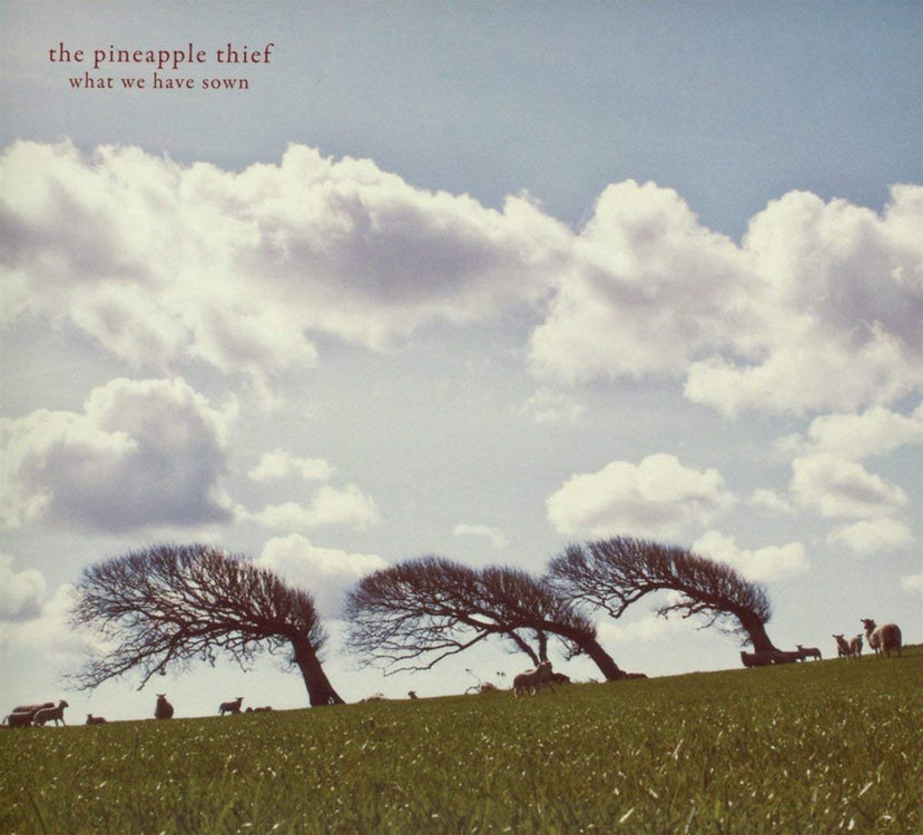 Pineapple Thief The LP - What We Have Sown