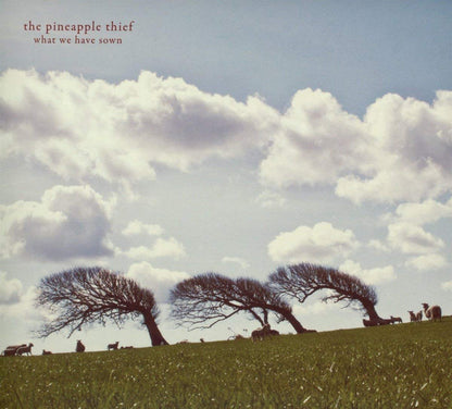 Pineapple Thief The LP - What We Have Sown