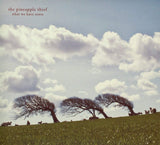 Pineapple Thief The LP - What We Have Sown