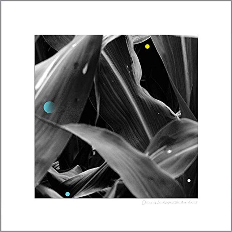 Arthur King LP - Changing Landscapes (Wauters F