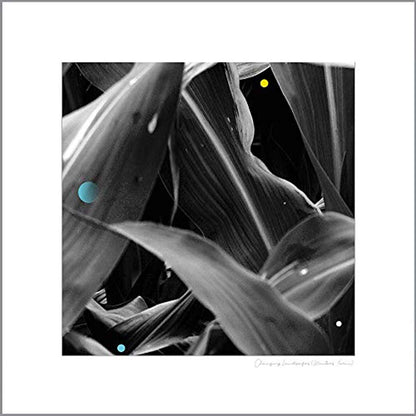 Arthur King LP - Changing Landscapes (Wauters F