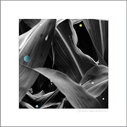 Arthur King LP - Changing Landscapes (Wauters F