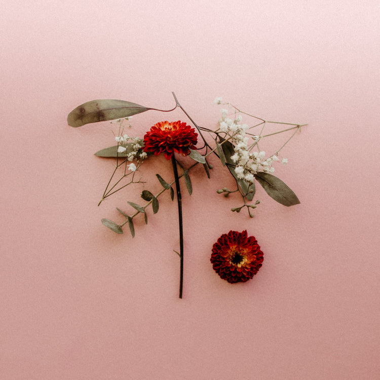 Sunsleeper LP - You Can Miss Something & Not W