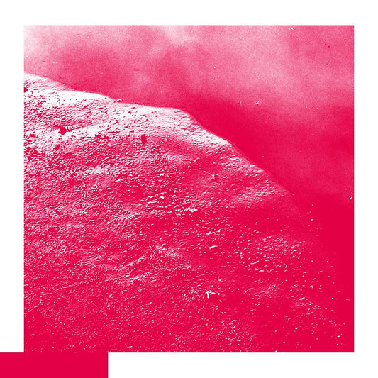 David Allred LP - The Cell