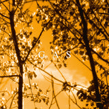 Gas LP - Konigsforst