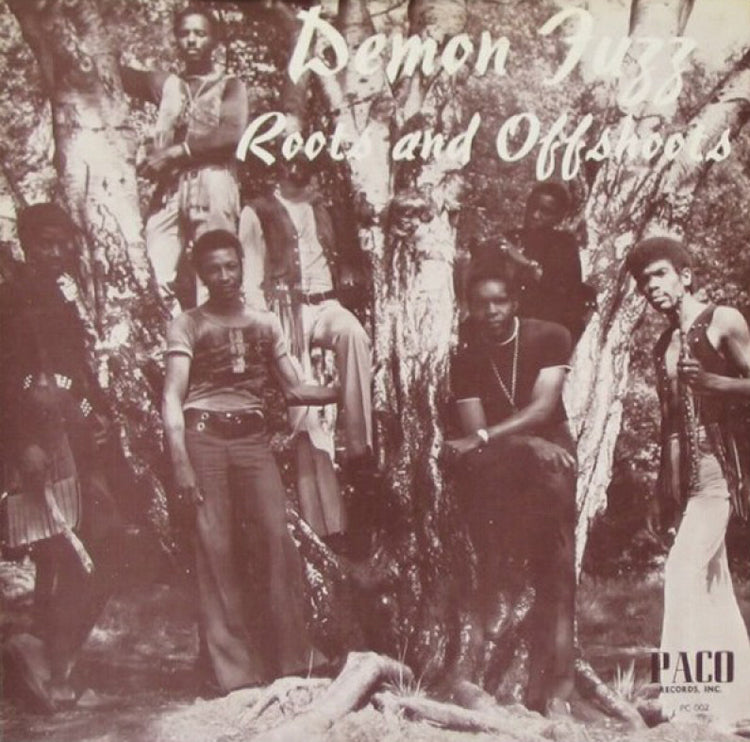 Demon Fuzz LP - Roots And Offshoots