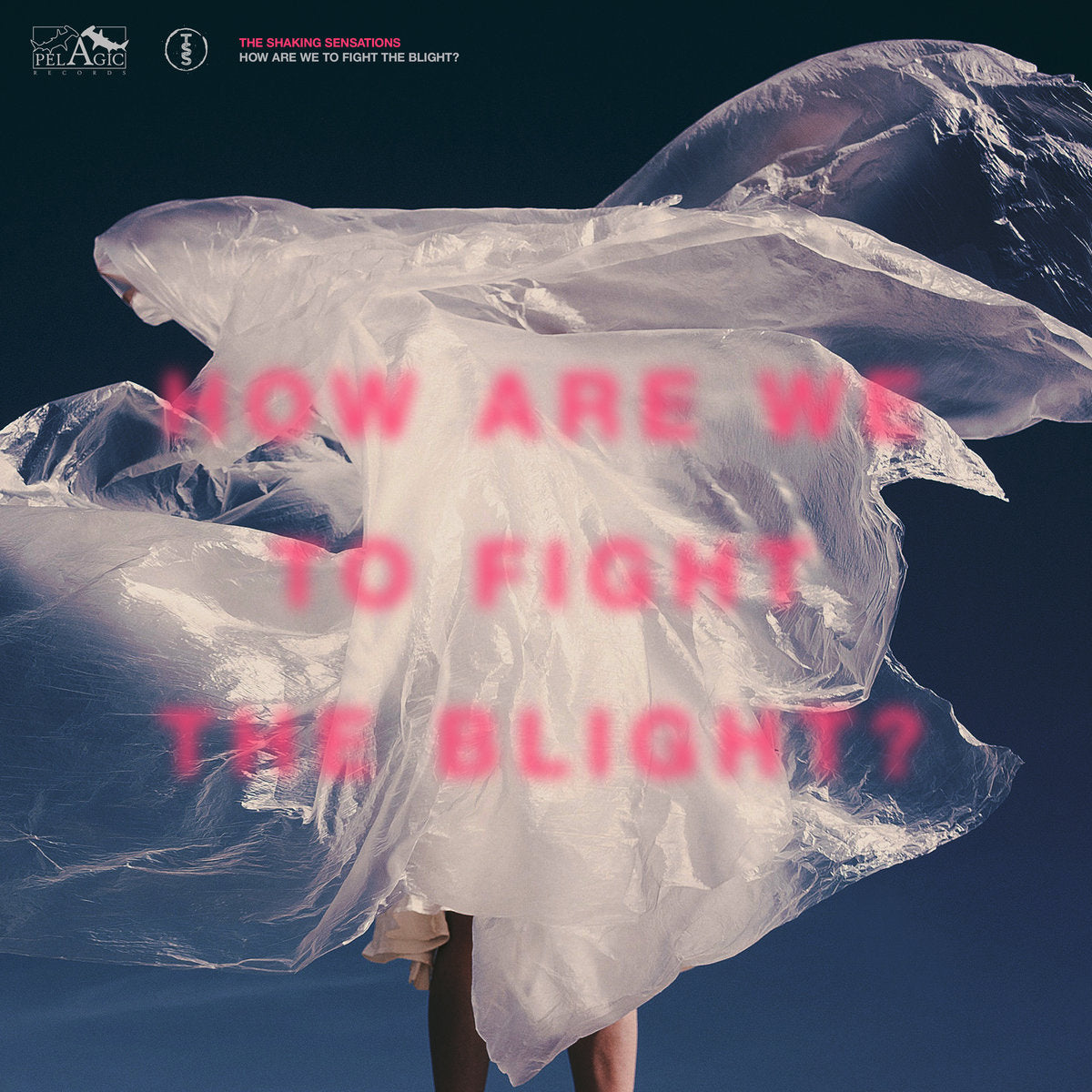 Shaking Sensations, The LP - How Are We To Fight The Blight? | Buy Now For 44.99