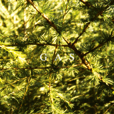 Gas LP - Pop