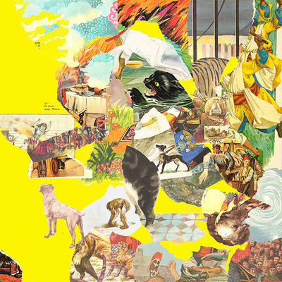 The Homesick LP - The Big Exercise | Buy Now For 39.99