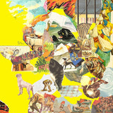 The Homesick LP - The Big Exercise | Buy Now For 39.99