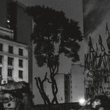 Manuel Pessoa De Lima LP - Realejo
