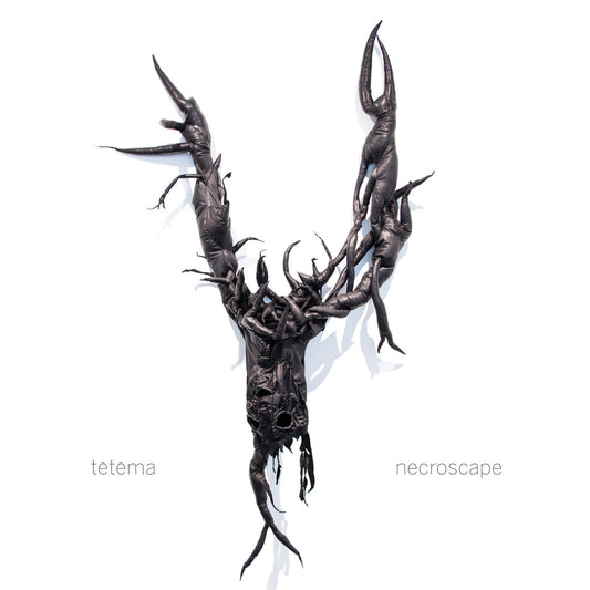 Te-Te-Ma LP - Necroscape