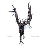Te-Te-Ma LP - Necroscape