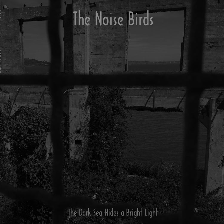 Noise Birds  The LP - The Dark Sea Hides a Bright Light