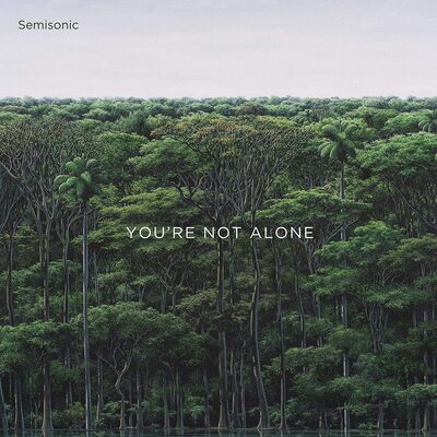 Semisonic LP - You're Not Alone | Buy Now For 29.99
