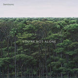 Semisonic LP - You're Not Alone | Buy Now For 29.99