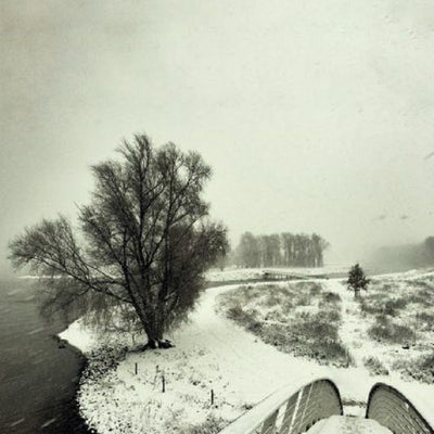 Beequeen LP - Winter