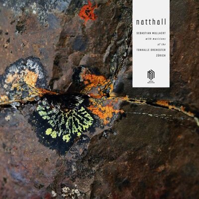 Sebastian Mullaert  Tonhalle O LP - Natthall