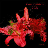 Various Artists LP - Pop Ambient 2021