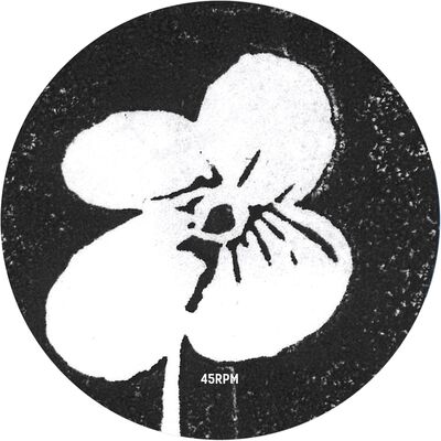 Shindo LP - Yotogi: | Buy Now For 29.99
