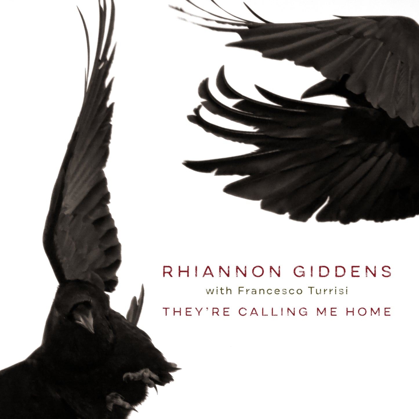 Rhiannon Giddens LP - They'Re Calling Me Home (With Francesco Turrisi)